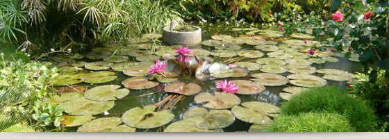 Ayurvedisches Kochen neu entdecken