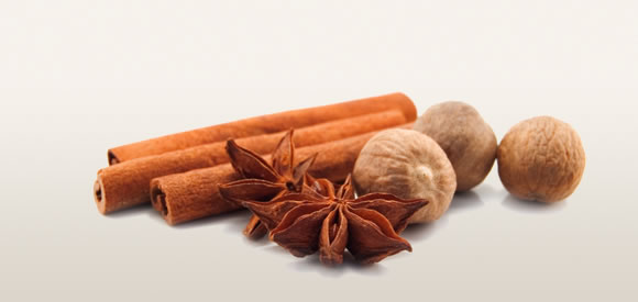 Gabriele Pfeiffer | Ayurveda und Lifestyle Consulting